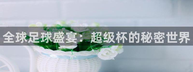 西超杯直播：全球足球盛宴：超级杯的秘密世界