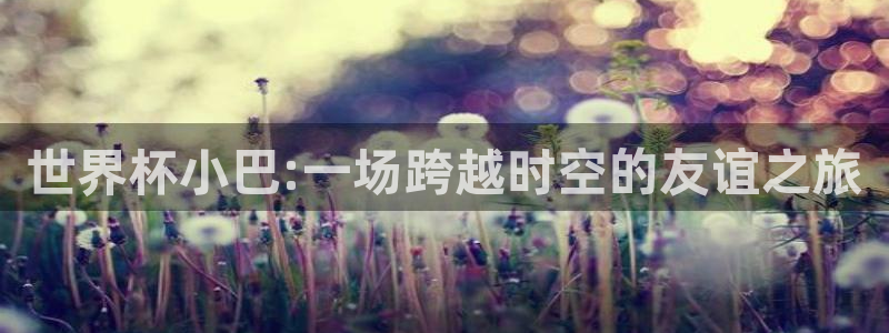 女足世界杯直播：世界杯小巴:一场跨越时空的友谊之旅