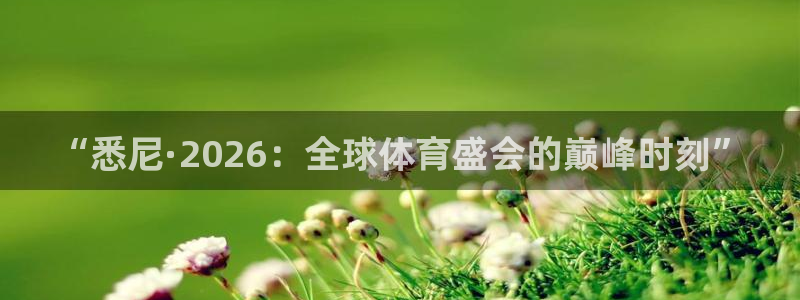 2026年世界杯赛程表时间：“悉尼·2026：全球体育盛会的巅峰时刻”