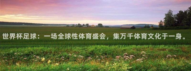 亚洲区世界杯预选赛：世界杯足球：一场全球性体育盛会，集万千体育文化于一身。