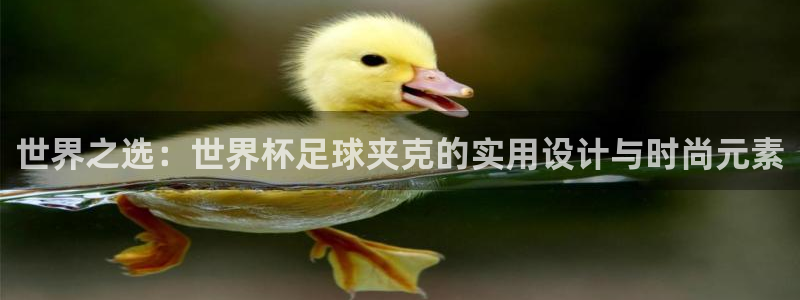 世预赛直播：世界之选：世界杯足球夹克的实用设计与时尚元素