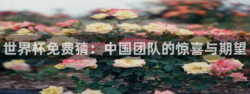 世预赛赛程表：世界杯免费猜：中国团队的惊喜与期望