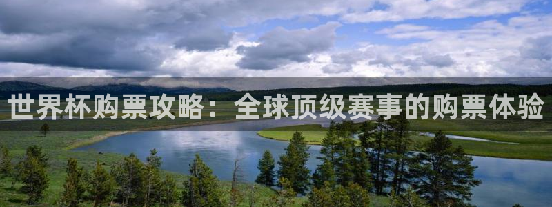 世界杯球队排名：世界杯购票攻略：全球顶级赛事的购票体验