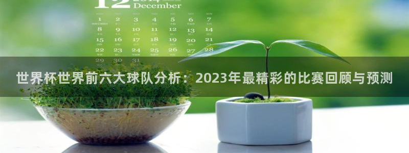 2026年世界杯：世界杯世界前六大球队分析：2023年最精彩的比赛回顾与预测