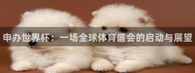 世界杯欧洲区世预赛赛程：申办世界杯：一场全球体育盛会的启动与展望