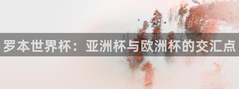 世界杯球队：罗本世界杯：亚洲杯与欧洲杯的交汇点