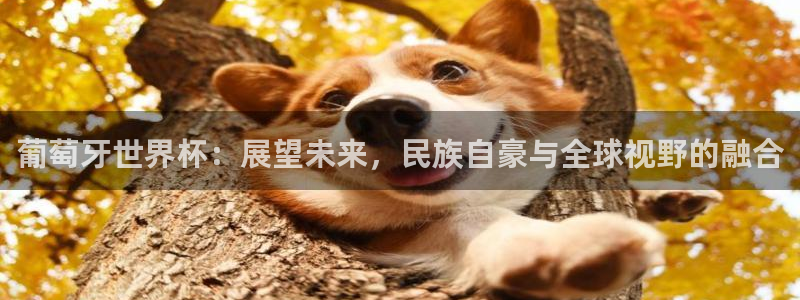 足球世界杯2026年赛程时间表：葡萄牙世界杯：展望未来，民族自豪与全球视野的融合