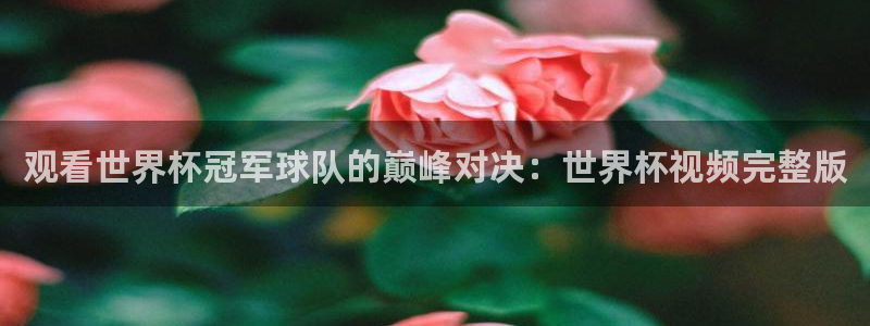 2026世界杯亚洲区预选赛赛程：观看世界杯冠军球队的巅峰对决：世界杯视频完整版