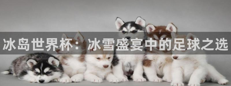 世界杯直播观看：冰岛世界杯：冰雪盛宴中的足球之选