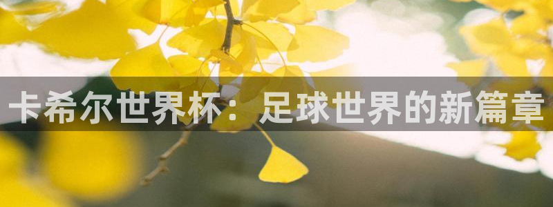 世界杯亚洲区预选赛赛程：卡希尔世界杯：足球世界的新篇章