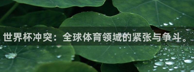 西超杯直播：世界杯冲突：全球体育领域的紧张与争斗。