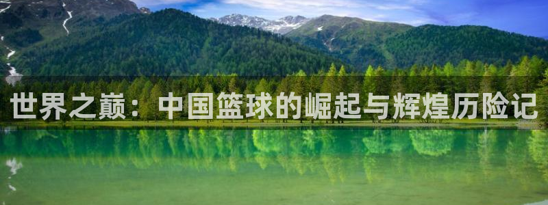 世界杯2026预选赛：世界之巅：中国篮球的崛起与辉煌历险记