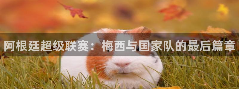 2026世界杯亚洲区预选赛赛程：阿根廷超级联赛：梅西与国家队的最后篇章