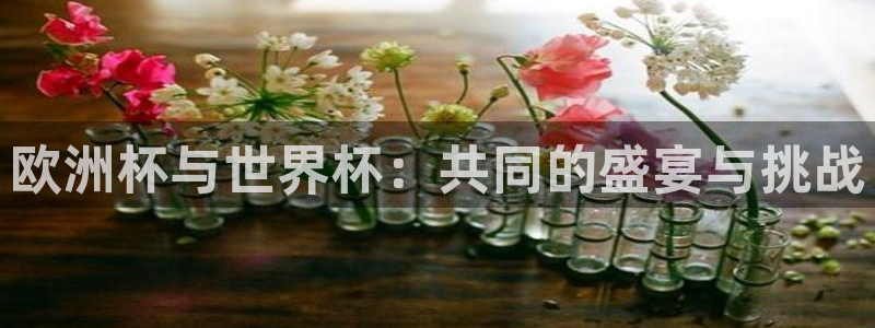 女足世界杯直播：欧洲杯与世界杯：共同的盛宴与挑战
