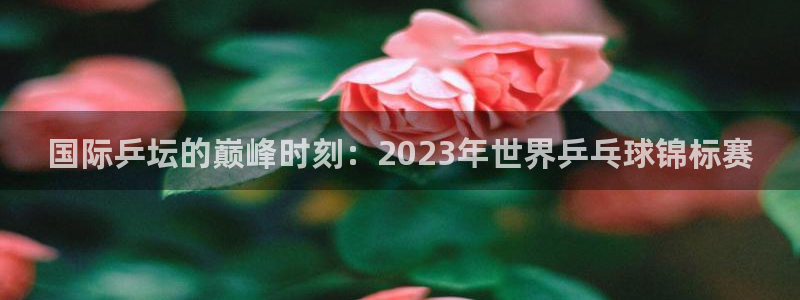 2026葡萄牙杯赛程表：国际乒坛的巅峰时刻：2023年世界乒乓球锦标赛