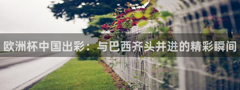 世界杯今年：欧洲杯中国出彩：与巴西齐头并进的精彩瞬间
