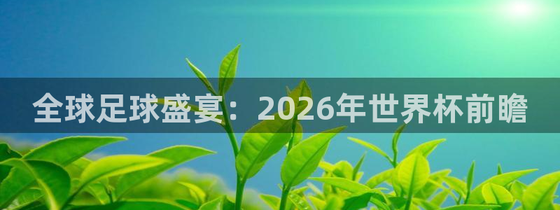 葡萄牙世界杯赛程：全球足球盛宴：2026年世界杯前瞻