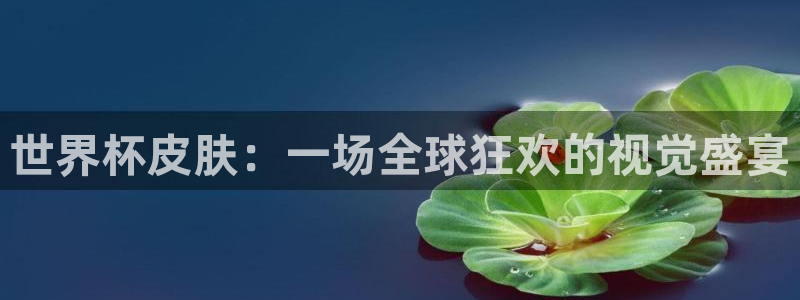 世界杯直播观看：世界杯皮肤：一场全球狂欢的视觉盛宴