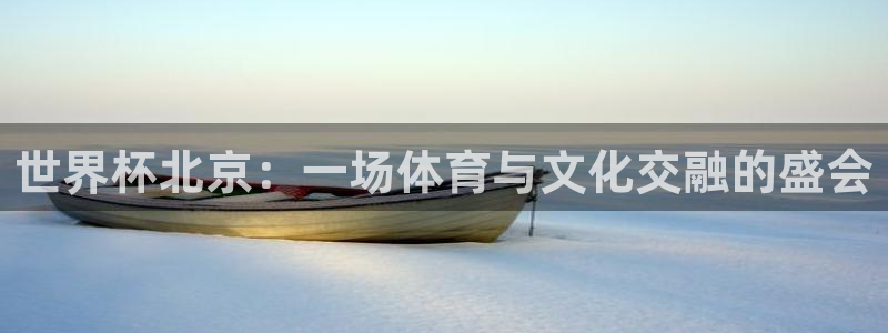 足球世界杯：世界杯北京：一场体育与文化交融的盛会